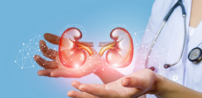 Medical professionals diagnosing glomerulonephritis, a kidney disease, with advanced imaging techniques in India for international patients.